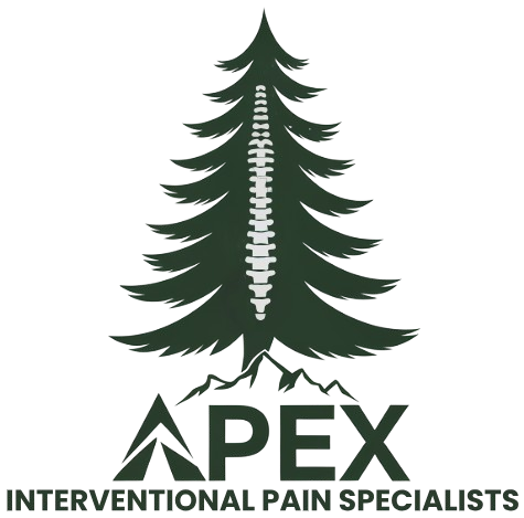 apex-logo